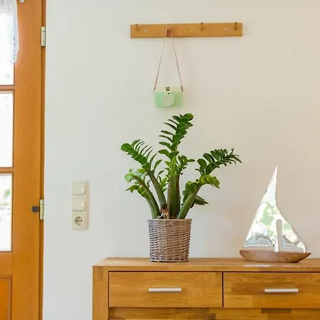 Reetgedecktes Fh Am Deich 2 - [#118592] Apartment Wustrow (Fischland)